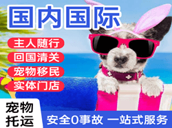 白塔空运地址国际宠物托运 【国